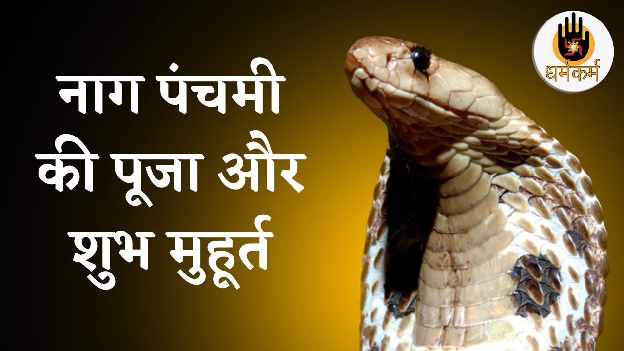 Nagpanchami will be worshiped on this day, know the auspicious time