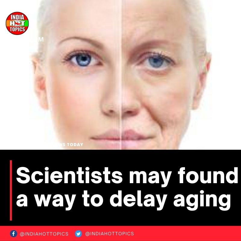 Scientists may found a way to delay aging