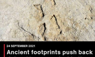 Ancient footprints push back date of human arrival in the Americas