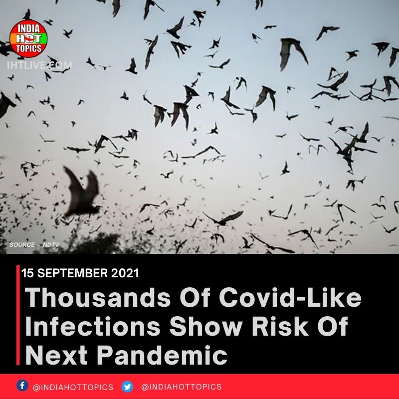 Thousands Of Covid-Like Infections Show Risk Of Next Pandemic