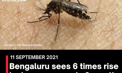 Bengaluru sees 6 times rise in dengue cases in 3 months
