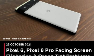 Pixel 6, Pixel 6 Pro Facing Screen Flickering & Green Tint Problems, Some Early Users Complain