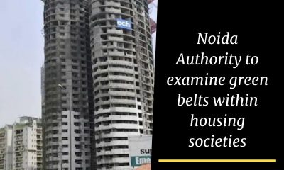 Noida Authority to examine green belts within housing societies