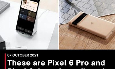 These are Pixel 6 Pro and Pixel 6, launch confirmed for October 19