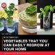 VEGETABLES THAT YOU CAN EASILY REGROW AT YOUR HOME