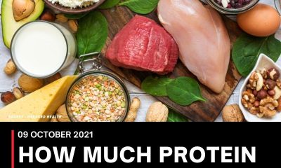 HOW MUCH PROTEIN DO YOU NEED IN A DAY