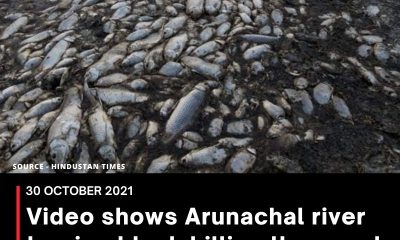 Video shows Arunachal river turning black killing thousands of fish; locals blame China