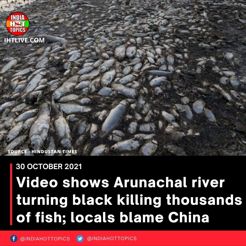 Video shows Arunachal river turning black killing thousands of fish; locals blame China
