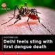 Delhi feels sting with first dengue death