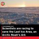 Scientists are racing to save the Last Ice Area, an Arctic Noah’s Ark