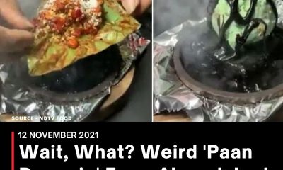 Wait, What? Weird ‘Paan Brownie’ From Ahmedabad Has Confused The Internet