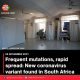 Frequent mutations, rapid spread: New coronavirus variant found in South Africa