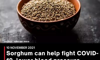 Sorghum can help fight COVID-19, lower blood pressure, cholesterol