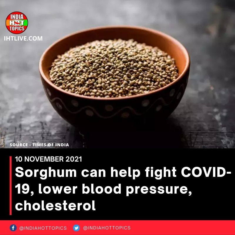 Sorghum can help fight COVID-19, lower blood pressure, cholesterol