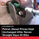 Petrol, Diesel Prices Kept Unchanged After Seven Straight Days Of Hike