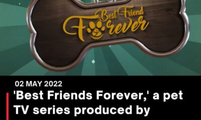 ‘Best Friends Forever,’ a pet TV series produced by Doordarshan, has won an Exchange4media award